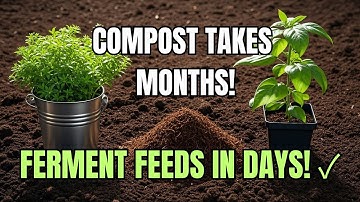 Why I Ferment Instead of Composting | The Secret Fertilizer That Works 10X Faster