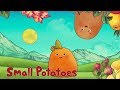 Small potatoes  potato love