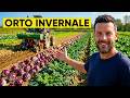 TRAPIANTO gli ORTAGGI con una TRAPIANTATRICE per TRATTORE
