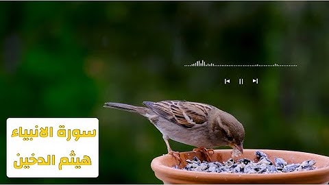 سورة الانبياء للقارئ هيثم الدخين بالمقام العراقي تلاوة خاشعة بدون اعلانات