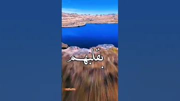 عني يحجون بقلبهم 