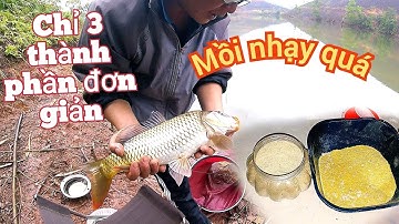 làm mồi câu chép quá đơn giản mà hiệu quả vi diệu/câu đài tự nhiên