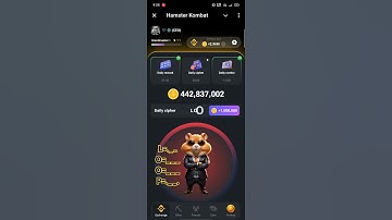 17 july Daily cipher redeem code #dailycipher #ciphercodes #hamsterkombat #hamsters