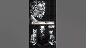 SCHRÖDINGER’S CAT 🐱⚛️ #Astronomy #Science #physics