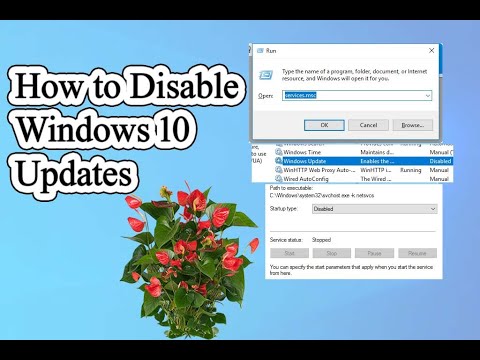 How to Disable Windows 10 Updates - YouTube