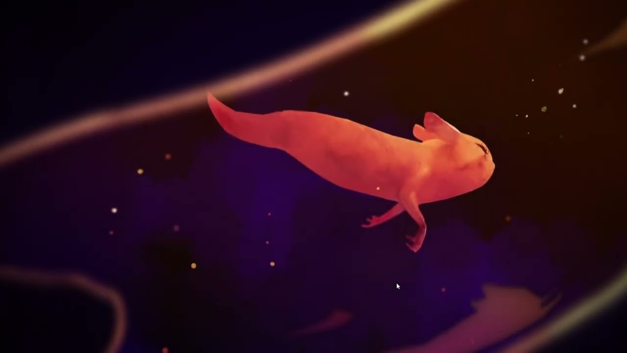 Rain World | hunter ascension