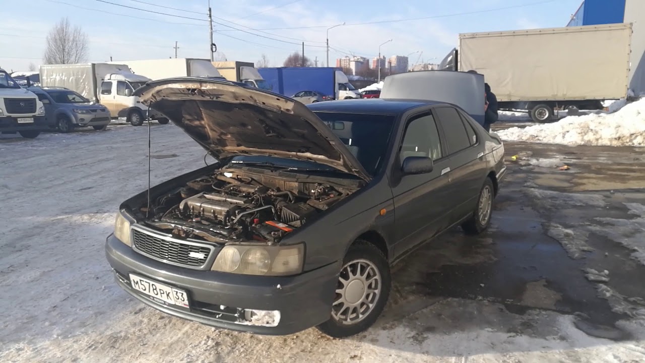 Blue bird машина