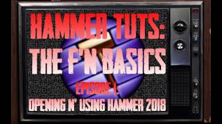 Hammer Tutorials: THE F'N BASICS Episode 1: Opening and Using Hammer 2018 Wealth
