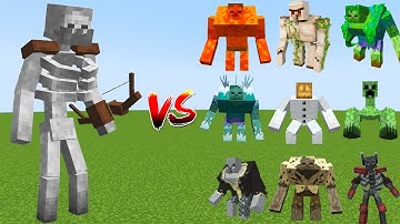 Mutant Skeleton VS All Minecraft Mutant Mobs - Minecraft Mobs Battle