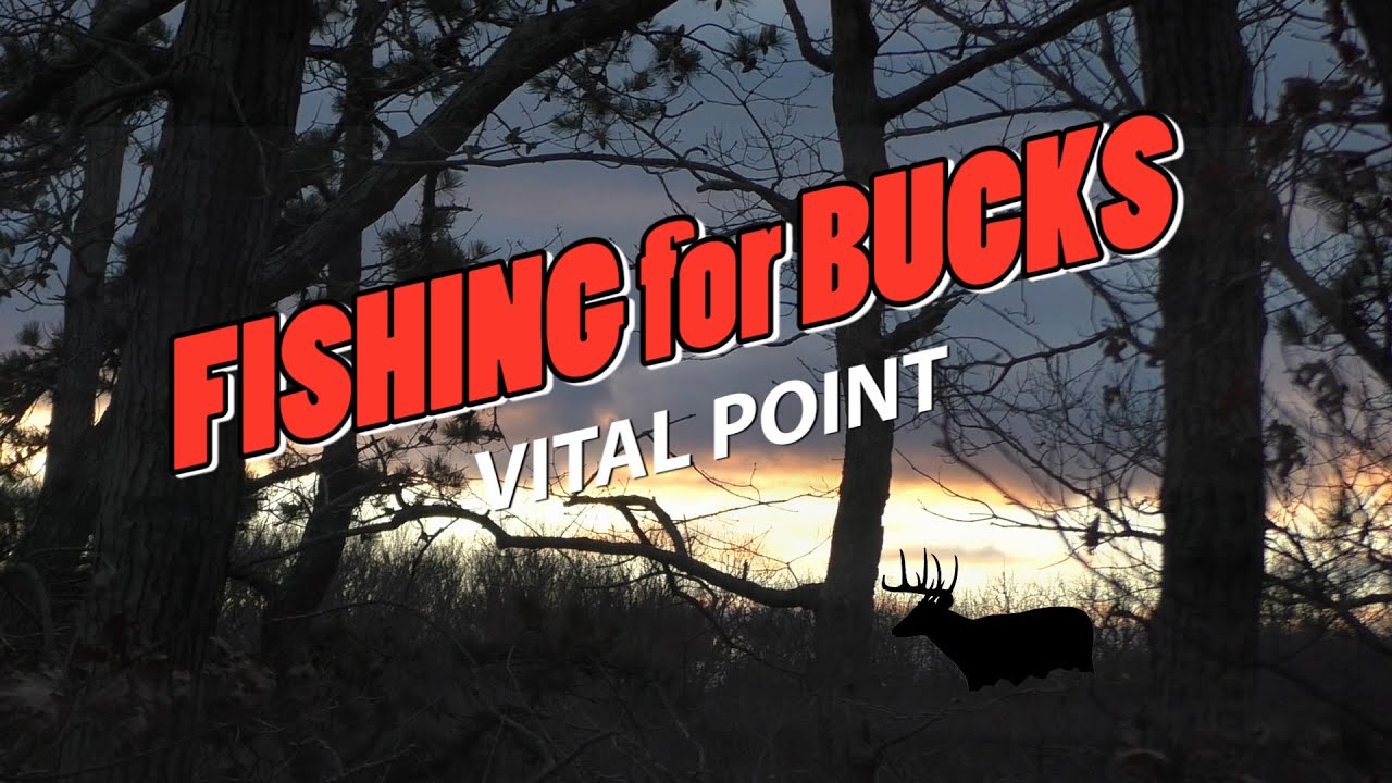 FISHING for BUCKS - Vital Point Bowhunting