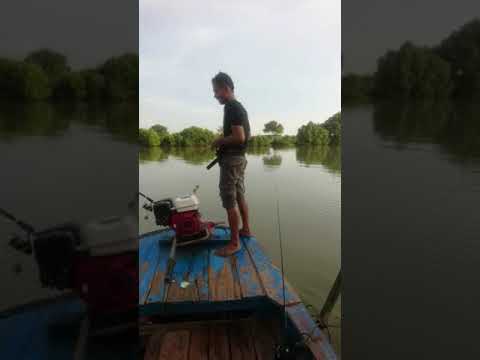 Mancing di lanjaman muara wonokerto tpi ngintip temen abis ngising..😀