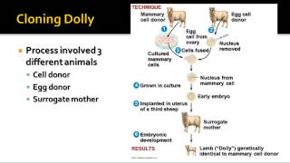 Biotechnology - Organismal Cloning
