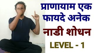 NADI SODHAN PRANAYAM In Hindi/NadiShodhan Pranayam/NadiShodhan - LEVEL-1-BASIC