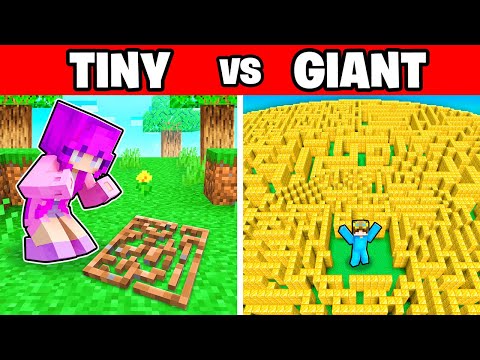 TINY vs GIANT