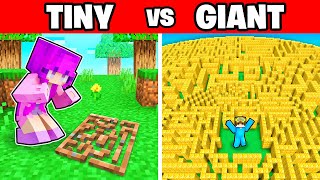 TINY vs GIANT MAZE In Minecraft!