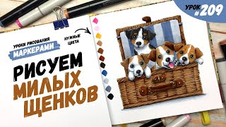 Как нарисовать милых щенков? / Видео-урок по рисованию маркерами #209