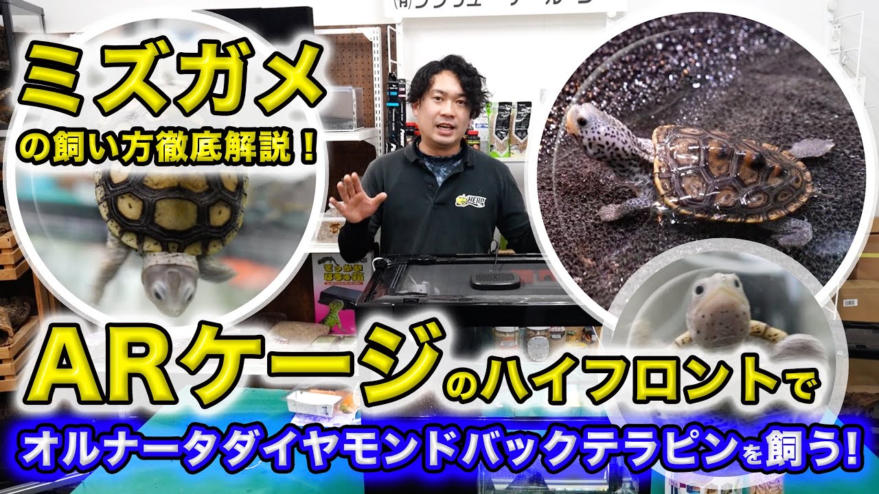 オリジナルケージ リニューアルしました | 爬虫類倶楽部