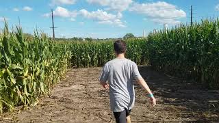 At the Fun Farm Pumpkin Patch Part 1 The Corn Maze