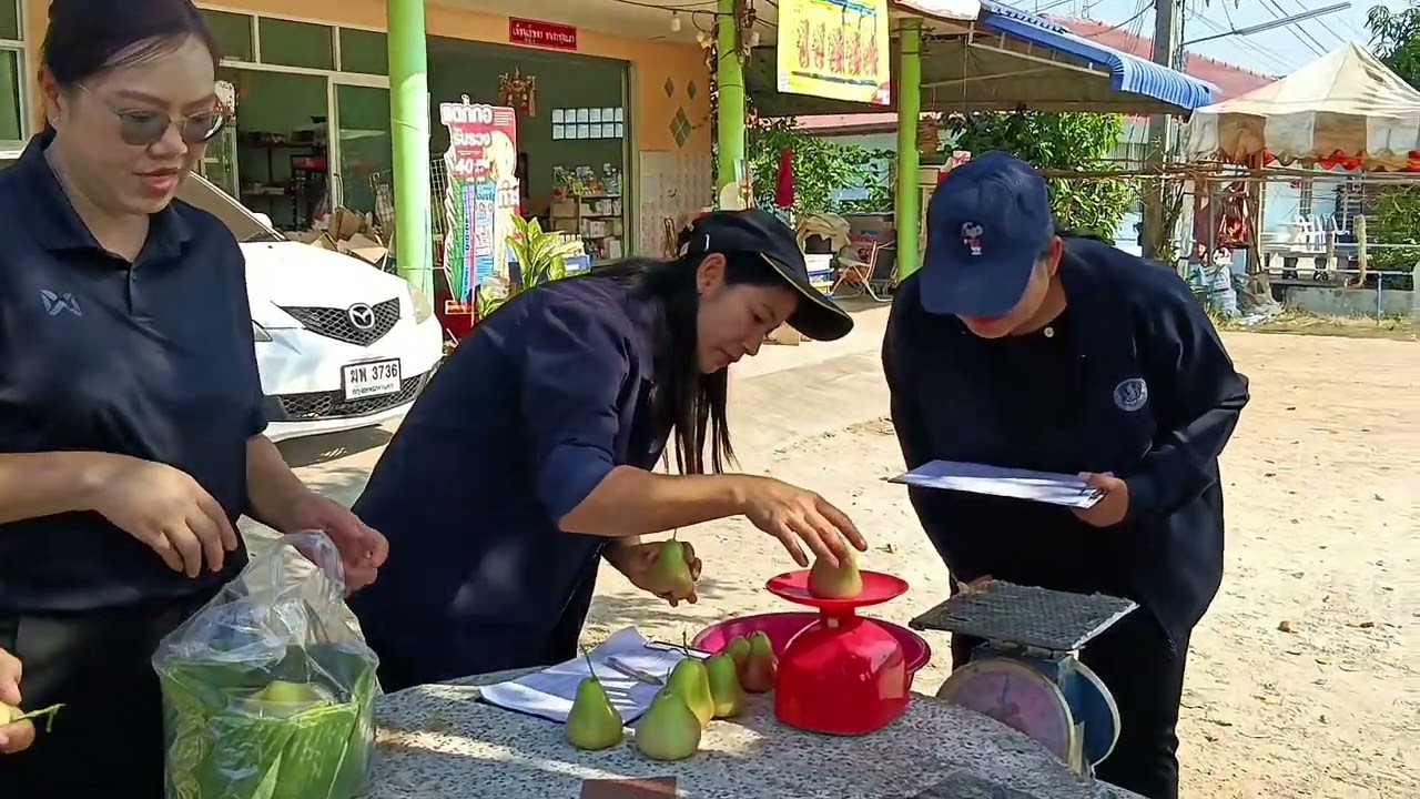 การประกวดสวนผลไม้ ประจำปี 2569  งานเกษตรและของดีท่ายางครั้งที่ 33