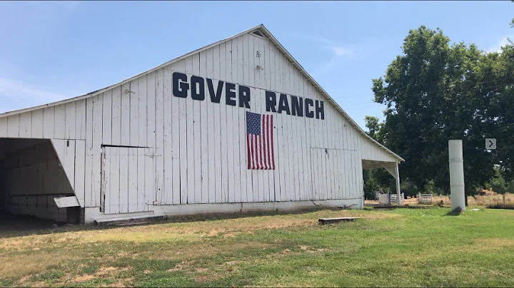 Roy and Peyton Crouch wedding, July 6th 2019