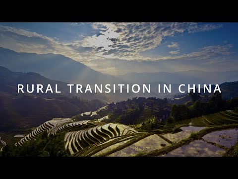 Rural Transition in China | SMU Research