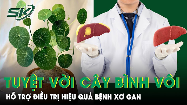 Bệnh sơ gan có thuốc đông dược nào trị năm 2024