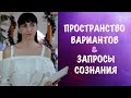 Трансерфинг для жизни. Пространство вариантов и запросы сознания. Система мозга  "вопросы и ответы".