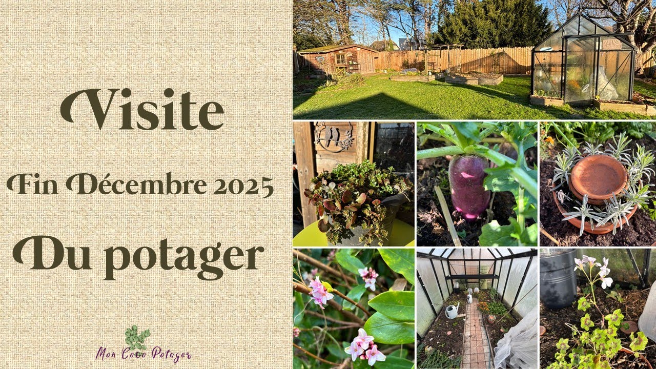 Un potager presque en vacances après avoir bien donné !
