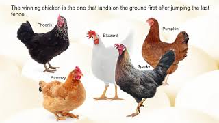 Extreme Chickens Race screenshot 3