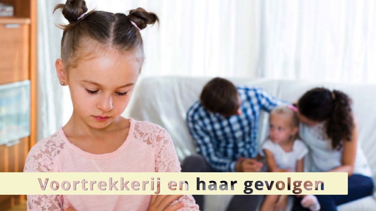 Voortrekkerij en haar gevolgen