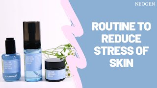 Routine to Reduce Stress of Skin | NEOGEN | YesStyle Korean Beauty Net Worth
