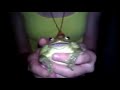 SCREAMING FROG