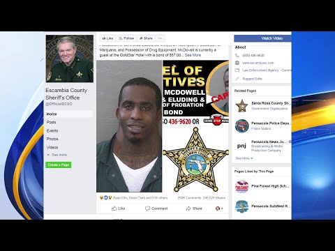 Starke County Mugshots Busted