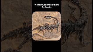 #dinosaur #theory #viral #short