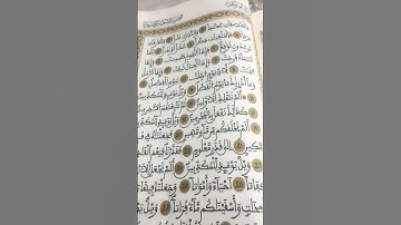 سورة  المرسلات للشيخ خالد الجليل ماشاء الله