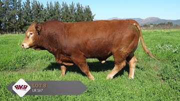 La Rhone Overview + Lot Video ENG HD