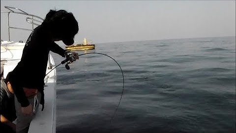 Alo Fishing |HƯỚNG DẪN CHỌN CẦN SLOW JIG TAKAMITECHNOS / ĐÁNH GIÁ CẦN CÂU SLOW JIG TAKAMITECHNOS