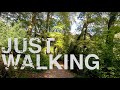 Cotehele Gardens | A Relaxing Cornwall Walk In 4K