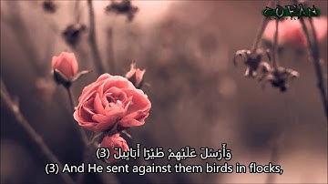 سورة الفيل بصوت القارئ مشاري راشد العفاسي  - Surat  Al Fil Mishary Rashid Al Afassy