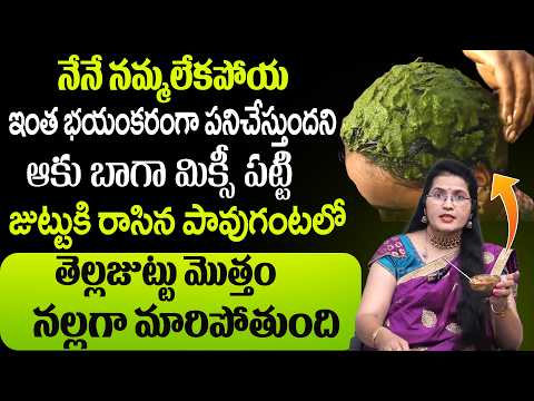 Grey Hair Cure at Home 🏡 ఈ ఒక్క ప్యాక్ చాలు! | 100% Natural Remedy for White Hair