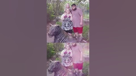 toledo zoo part 3