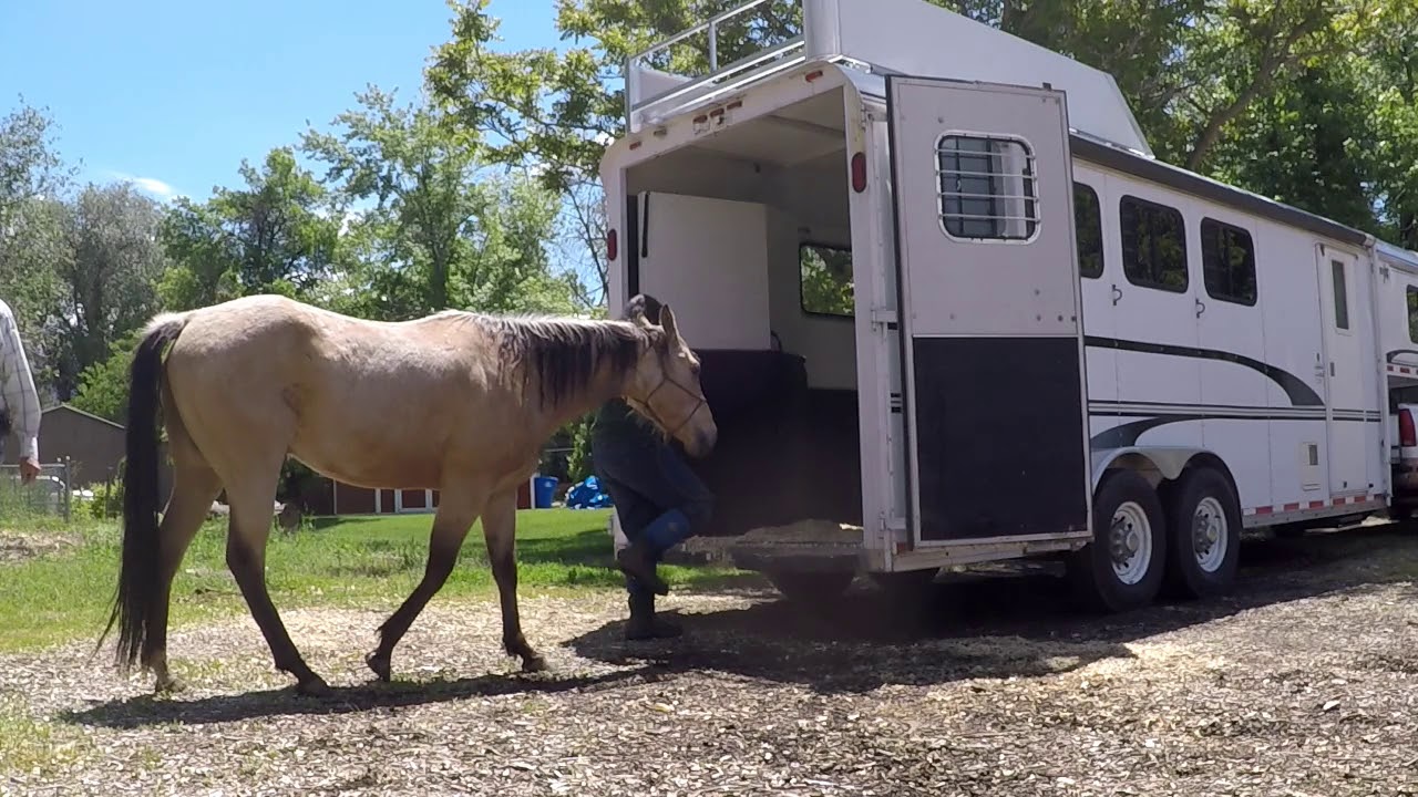 Riding 2 Horses, Ponying 2 Horses