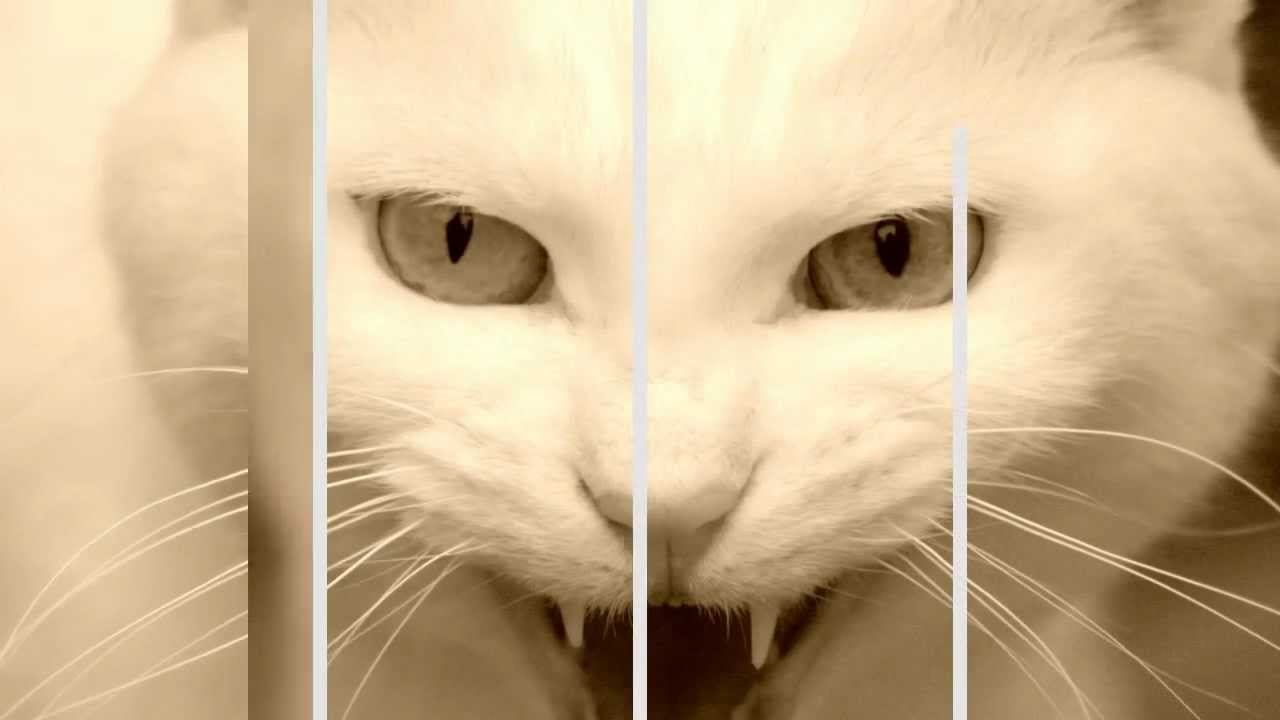 Hatty Keane - No One Loves You (Kairo Kingdom Remix)