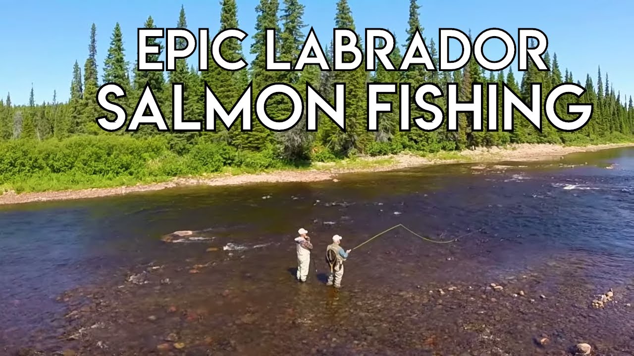 Big River Salmon Epic Labrador Fishing The New Fly Fisher
