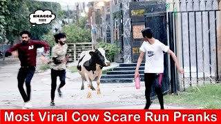 Most Viral Cow Scare Run Pranks