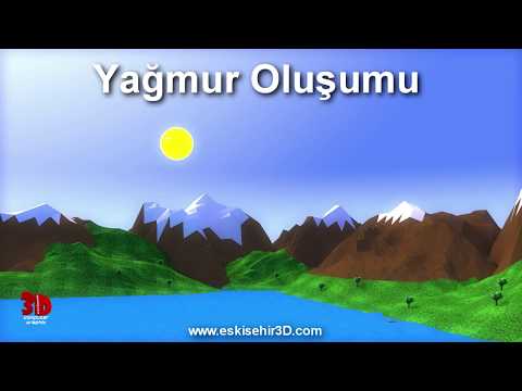 Video: Yağ doğada nasıl oluştu