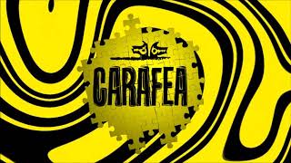 Video thumbnail of "12 CARAFEA - Procura"