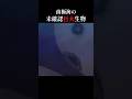 新作【ニンゲン】配信中!!👻《#わくわくおばけランド》