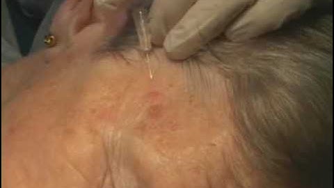 Local Block (sample) - www.proceduresconsult.com