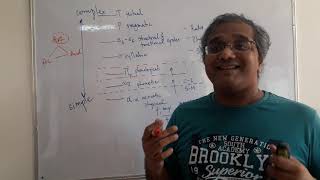 Hierarchical structure of language-I